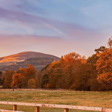 The Secret Hideaway Daire Penicuik Dış mekan fotoğraf